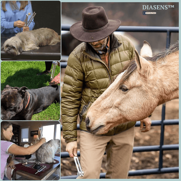DiaSens™ | Soin Par Vibrations Pour Animaux