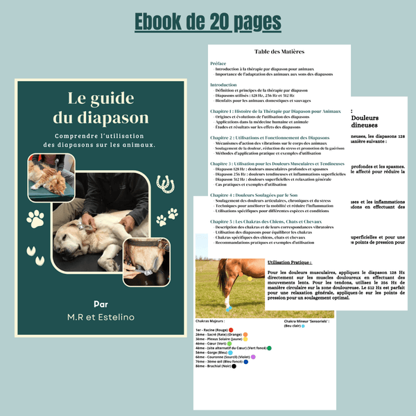Ebook : Le guide du diapason (animaux)