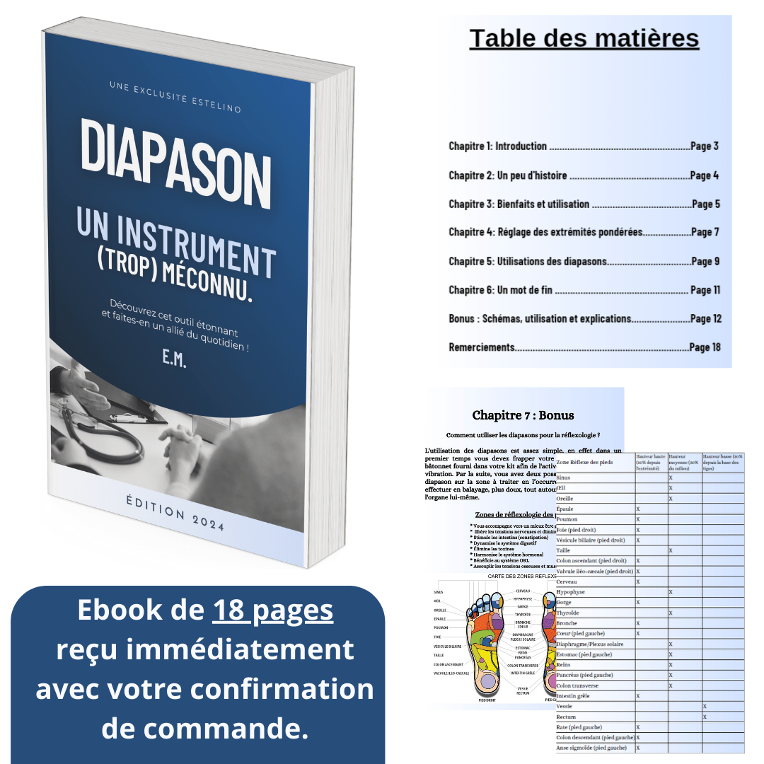 Ebook : Diapason | Un instrument (trop) méconnu. (Français)