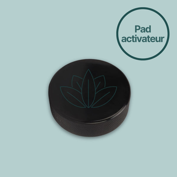 Activateur pour diapason